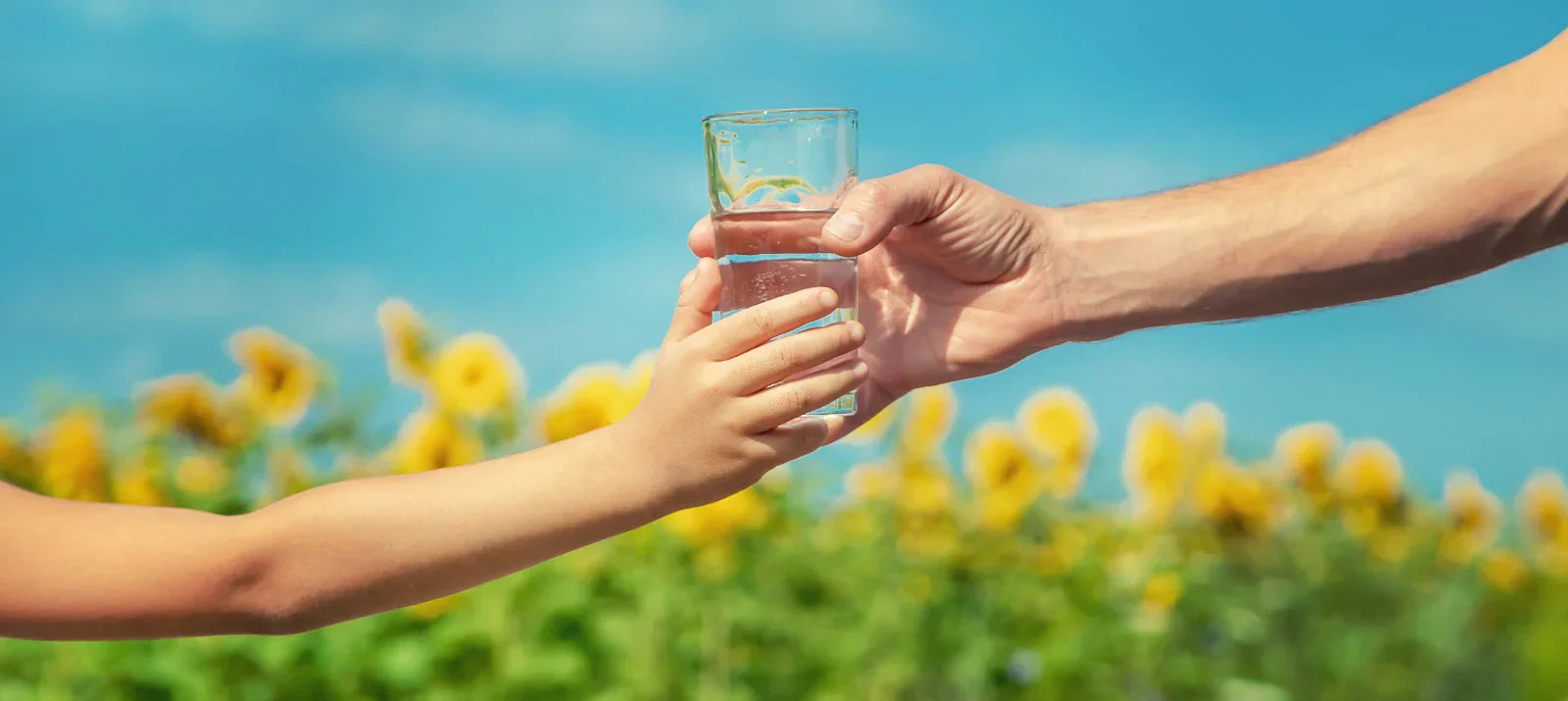 The Role of Hydration in Joint Health