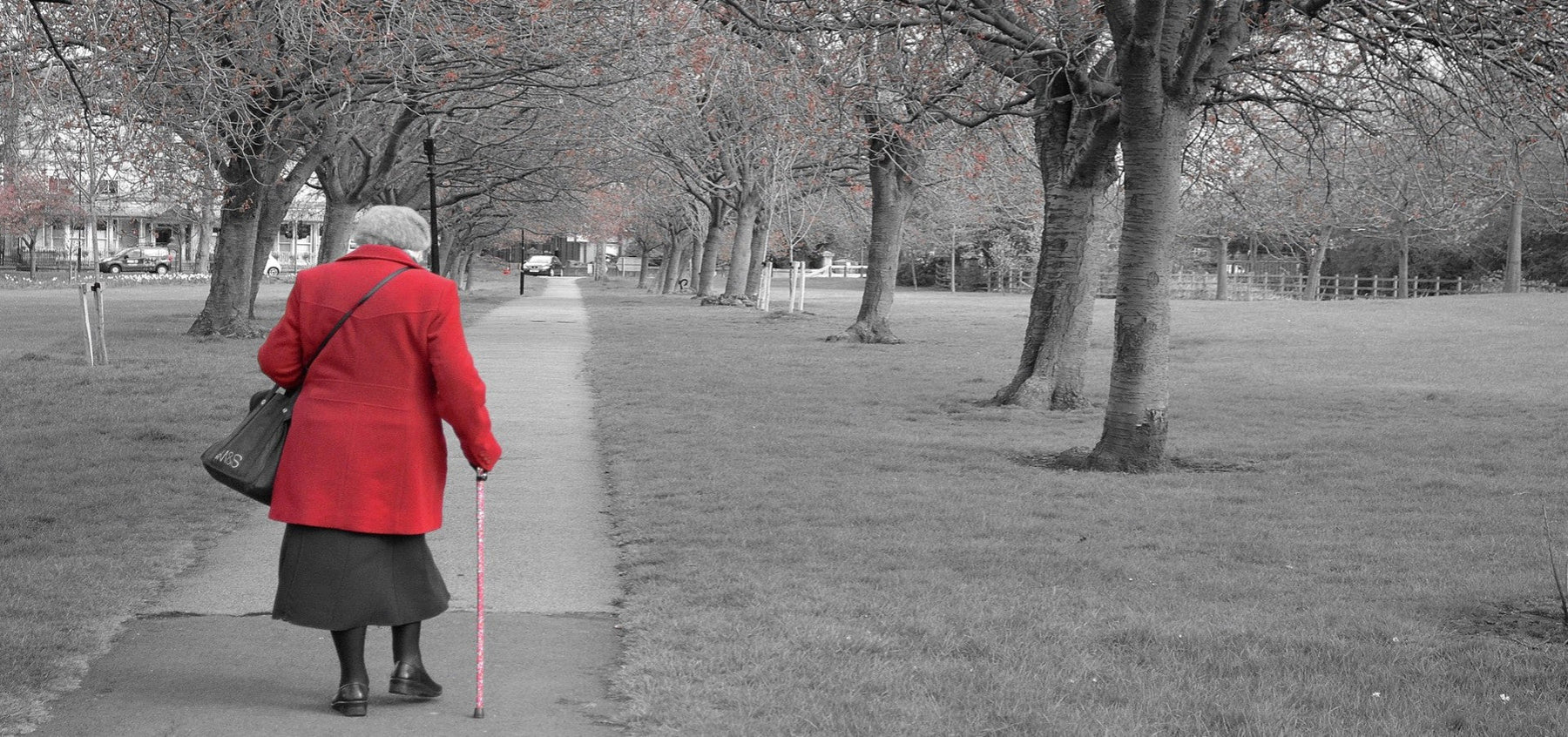The Role of Walking in Improving Mobility and Overall Health for Older Adults