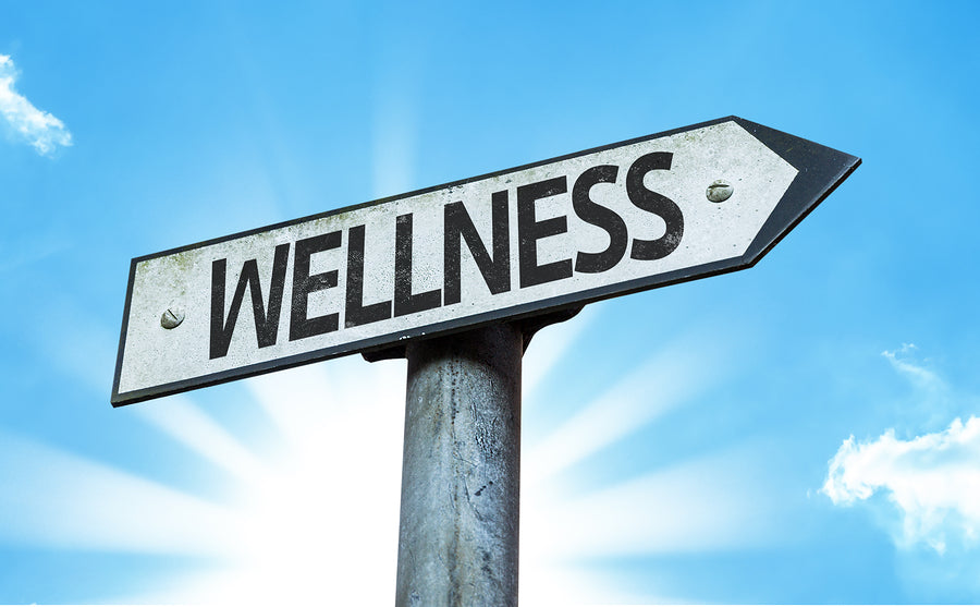 what does wellness mean to you