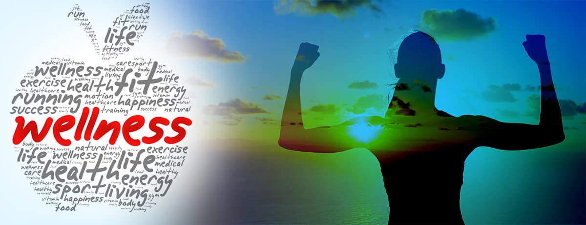 What is Wellness Care