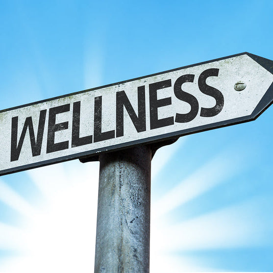 what does wellness mean to you