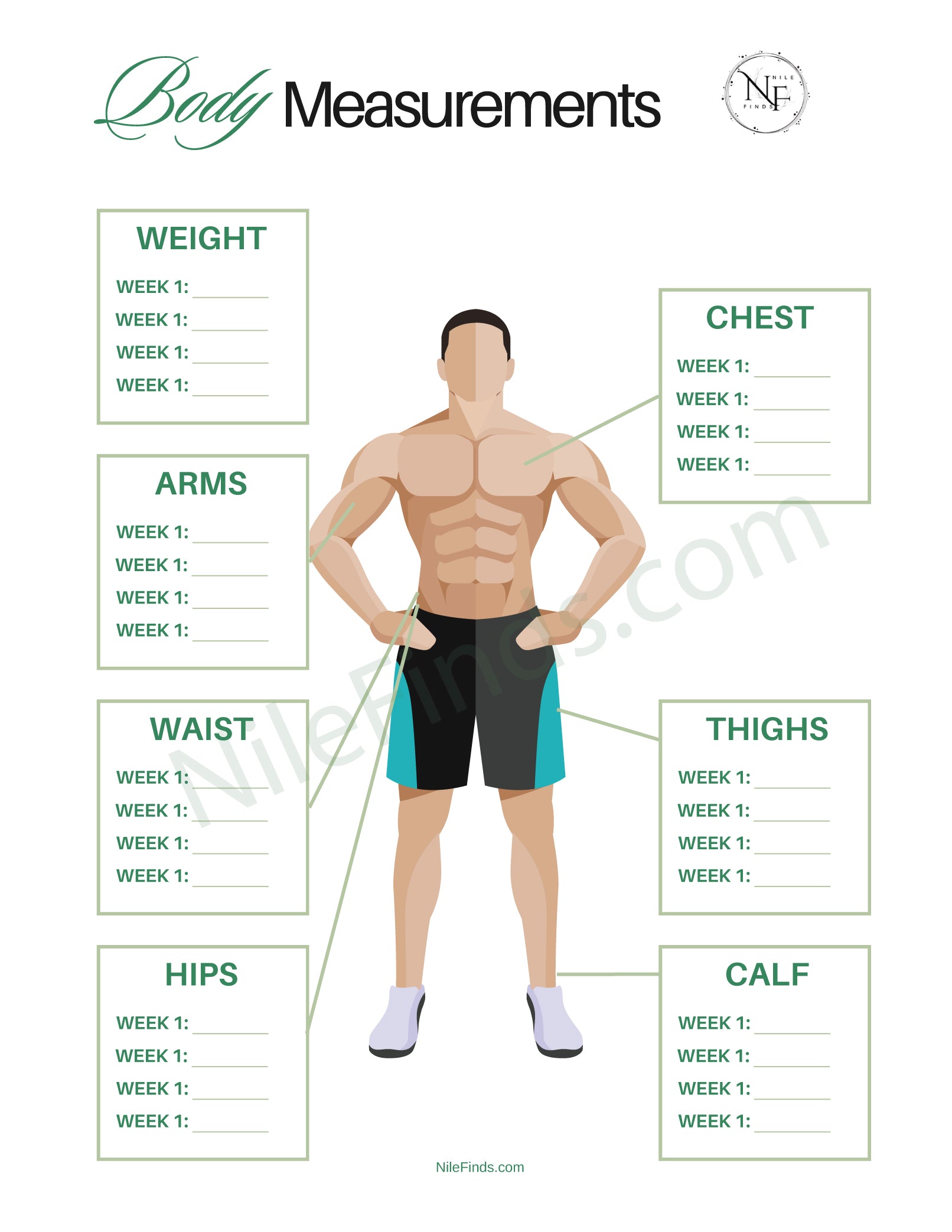 Body Measurements Tracker PDF for Men & Women | Health & Fitness Tool
