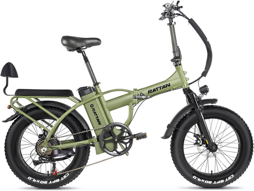 Rattan 750W Electric Bike for Adults Electric Folding Ebikes 20''X4.0 Fat Tire Bikes 48V 13AH Removable Lithium-Ion Battery E-Bikes 7 Speed Shifter Electric Bicycle… (LM-750 EE)