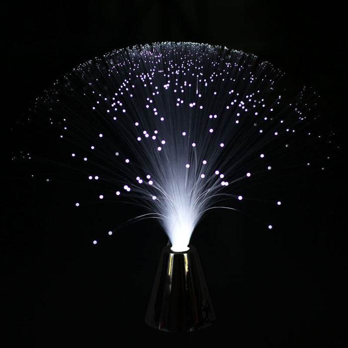 LED Colorful Fiber Optic Light