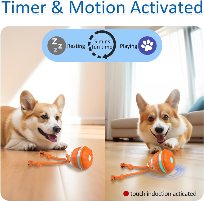 Interactive Dog Toys, Motion Activated Dog Ball, Automatic Rolling Ball Toys for Puppy/Small Dogs