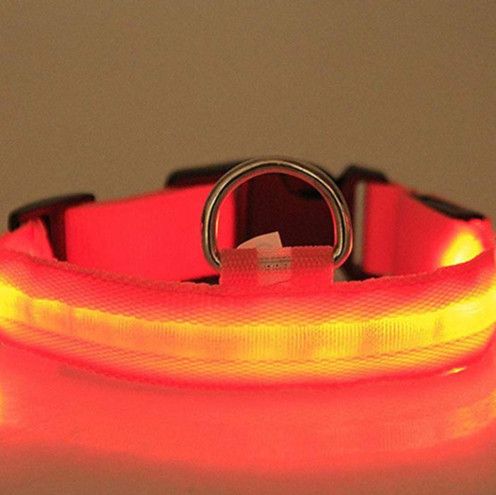 LED Light up Dog Collar Pet Night Safety Bright Flashing Adjustable Nylon Leash