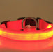 LED Light up Dog Collar Pet Night Safety Bright Flashing Adjustable Nylon Leash