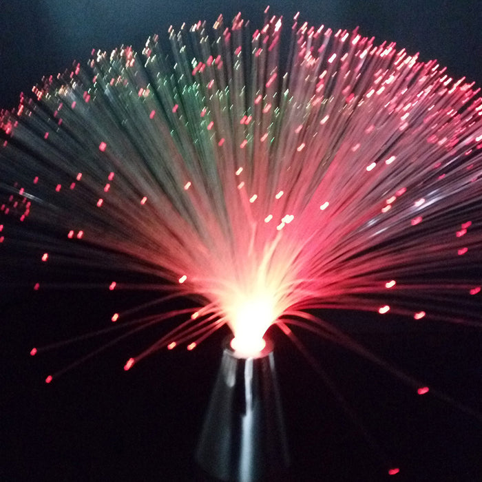 LED Colorful Fiber Optic Light